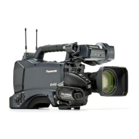 Preview: Panasonic AG-HPX370