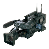 Preview: Panasonic AG-HPX300