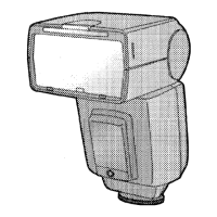 Preview: Panasonic DMW-FL500