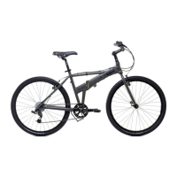 Preview: DAHON JACK - 2009