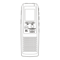 Preview: MPMan ICR 110