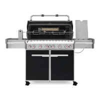 Preview: Weber E-670