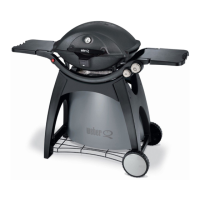 Preview: Weber Q-320