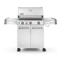 Preview: Weber S-330