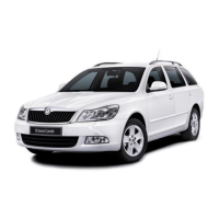 Preview: Skoda OCTAVIA - 05-2010