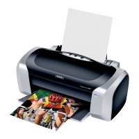 Preview: Epson Stylus C88