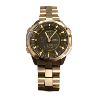 Preview: Seiko H024
