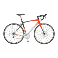 Preview: Giant DEFY ALLIANCE 0