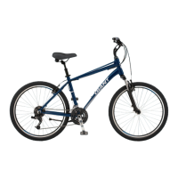 Preview: Giant SEDONA DX