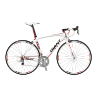 Preview: Giant TCR COMPOSITE 1