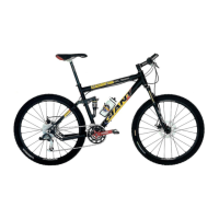 Preview: Giant XTC BIKES-2001