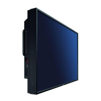 Preview: NEC P521