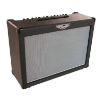 Preview: Traynor DG60R