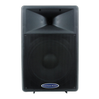 Preview: American Audio DLS 15P