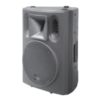 Preview: AUSTRALIAN MONITOR XR12P