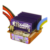 Preview: ROOSTER CRAWLER ESC - BASIC SETUP GUIDE V2 4-2010