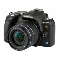 Preview: E510 - Evolt 10MP Digital SLR Camera