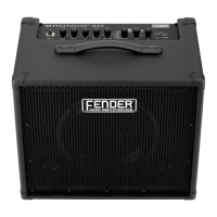 Preview: Fender BRONCO 40