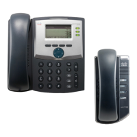 Preview: Cisco SPA303