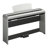Preview: Yamaha P-95S