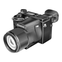 Preview: Olympus CAMEDIA E-100RS