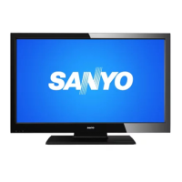 Preview: Sanyo FVM3982