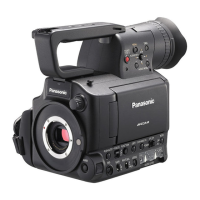 Preview: Panasonic AG-AF100A