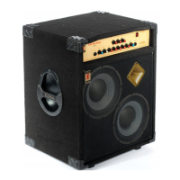 Preview: Eden Solo CXC-300