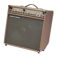Preview: Shenandoah Acoustic 150LT