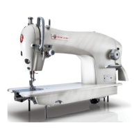 Preview: Singer 191D-20