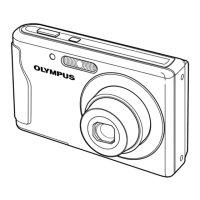 Preview: Olympus T-110