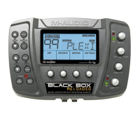 Preview: M-Audio Black Box