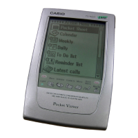 Preview: Casio PV-S250