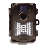 Preview: Bushnell X-8 TRAIL CAM 119327