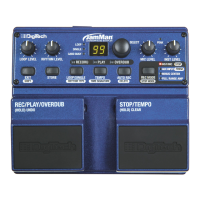 Preview: DigiTech the JamMan