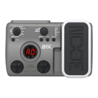 Preview: Zoom G1X