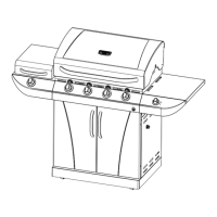 Preview: Char-Broil 463247311