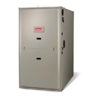 Preview: Coleman TG9S