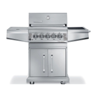 Preview: Ducane Stainless 20529916