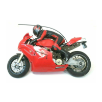 Preview: THUNDER TIGER 999R