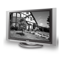 Preview: TH37PA20 - 37" PLASMA TV