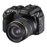 Preview: FujiFilm FinePix FinePix S9600