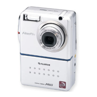 Preview: FujiFilm FinePix M603