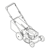 Preview: MTD 54M