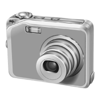 Preview: FujiFilm FinePix V10