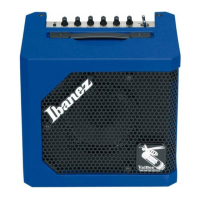 Preview: Ibanez Valbee VBG