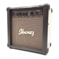 Preview: Ibanez ACA15
