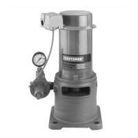 Preview: Craftsman 390.253251