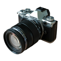 Preview: Olympus E-M5