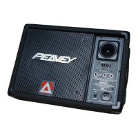 Preview: Peavey EUROSYS 10PM
